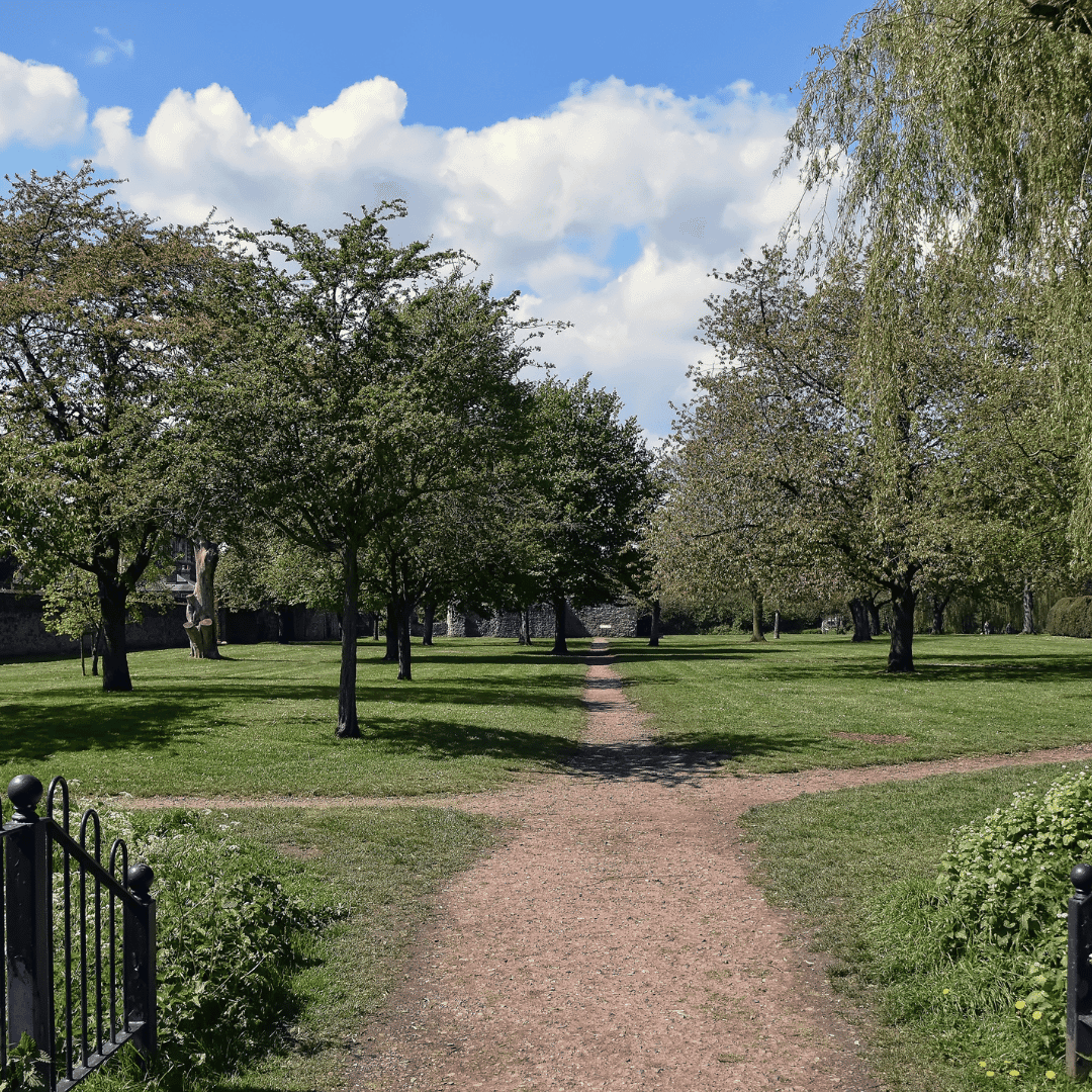 Waltham Cross roofing services